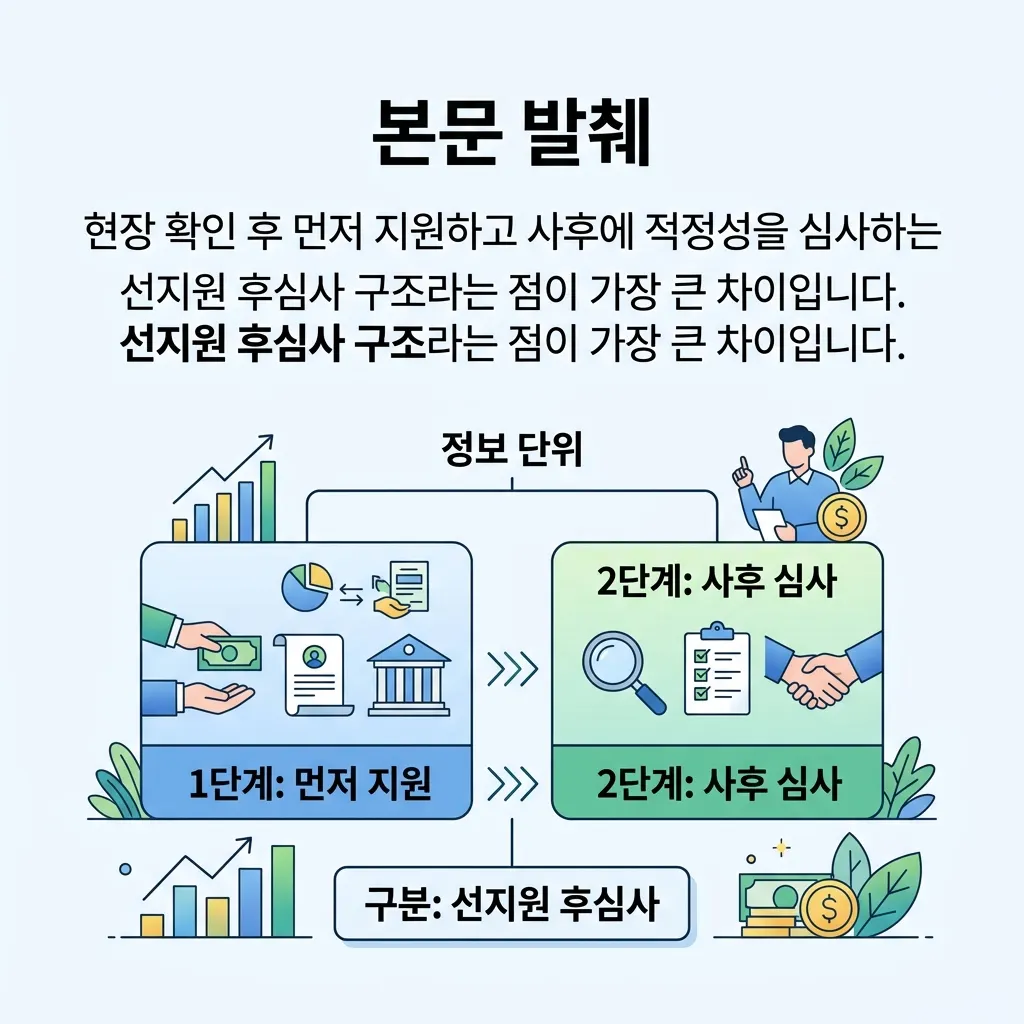 긴급복지지원 선지원 후심사 구조와 위기상황 개념 도식